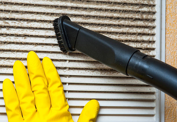 Air Duct Mold Removal in Dexter, MI